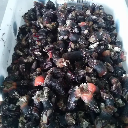 Casa De Verdes Hétvégi ház