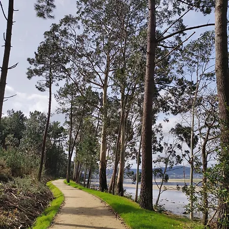 Casa De Verdes San Pelayo